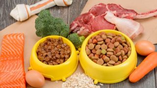 マルバン＿ジビエ