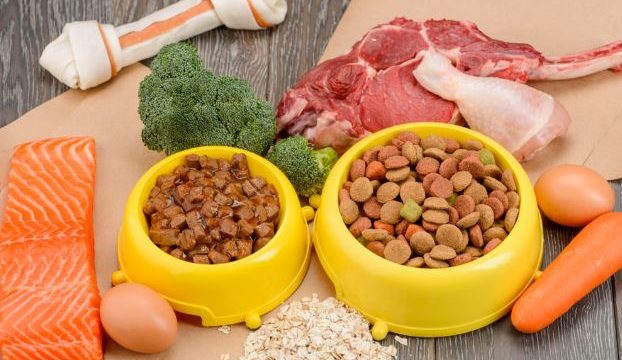 マルバン＿ジビエ