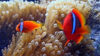 marine house やまんぐぅ~