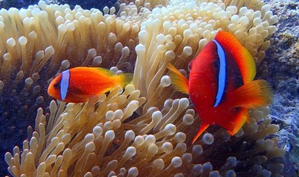 marine house やまんぐぅ~