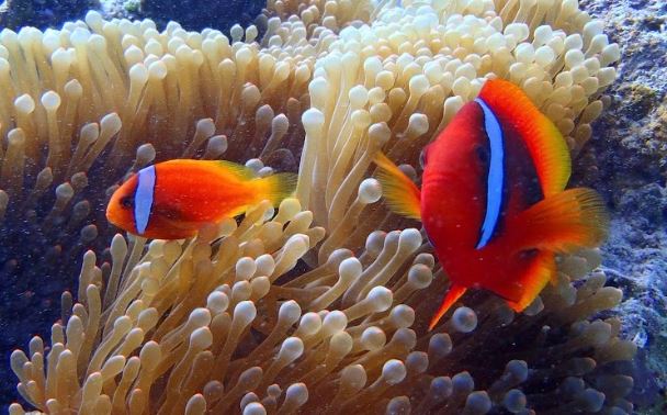 marine house やまんぐぅ~