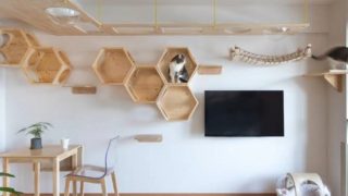 株式会社たすかけ