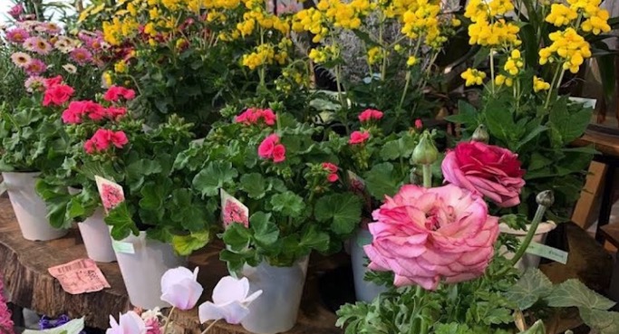 （株）SK花企画 軽井沢店