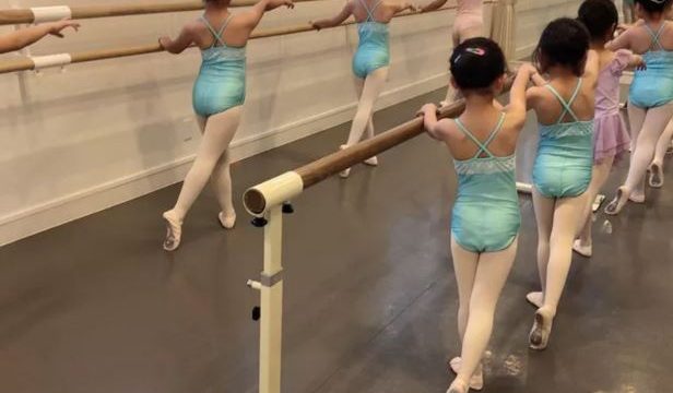 バレエスタジオ エルドール