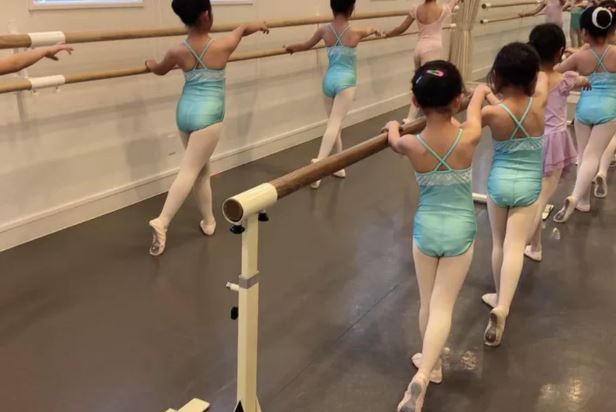 バレエスタジオ エルドール