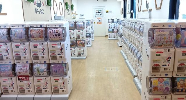 ガチャねこ ガチャ専門店 in 新大阪