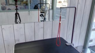 トリミングスタジオ Coco Wan (ココワン)