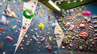 カメロパルダリス