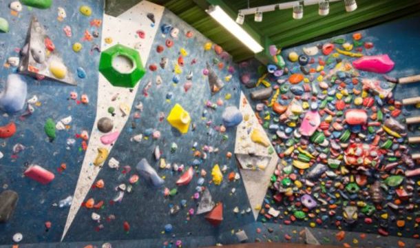 カメロパルダリス