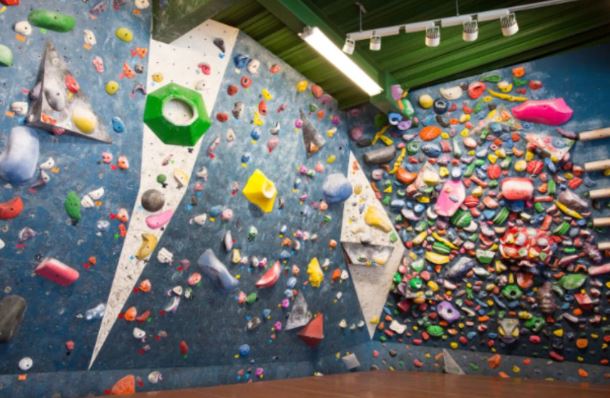 カメロパルダリス